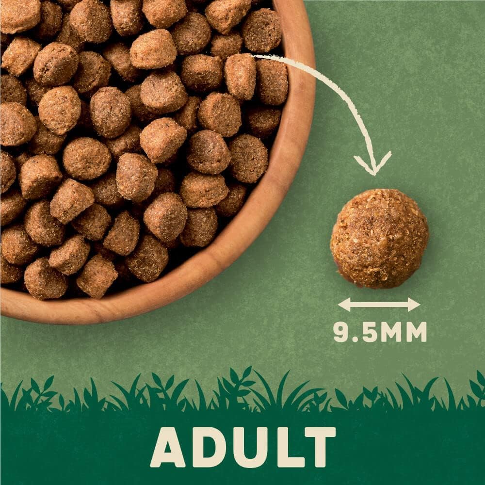 Harringtons Complete Dry Adult Dog Food
