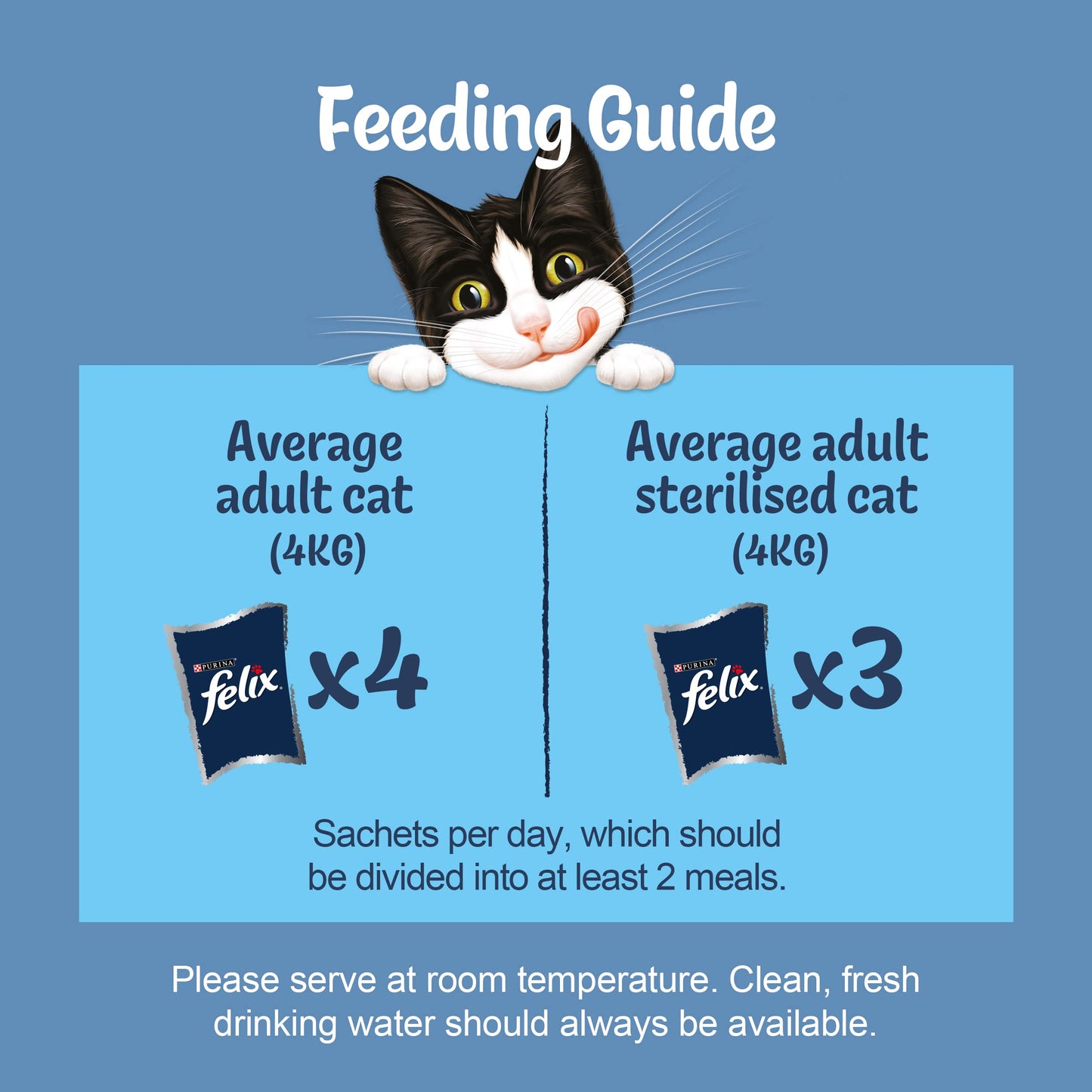 Fish Favourites in Jelly Wet Cat Food