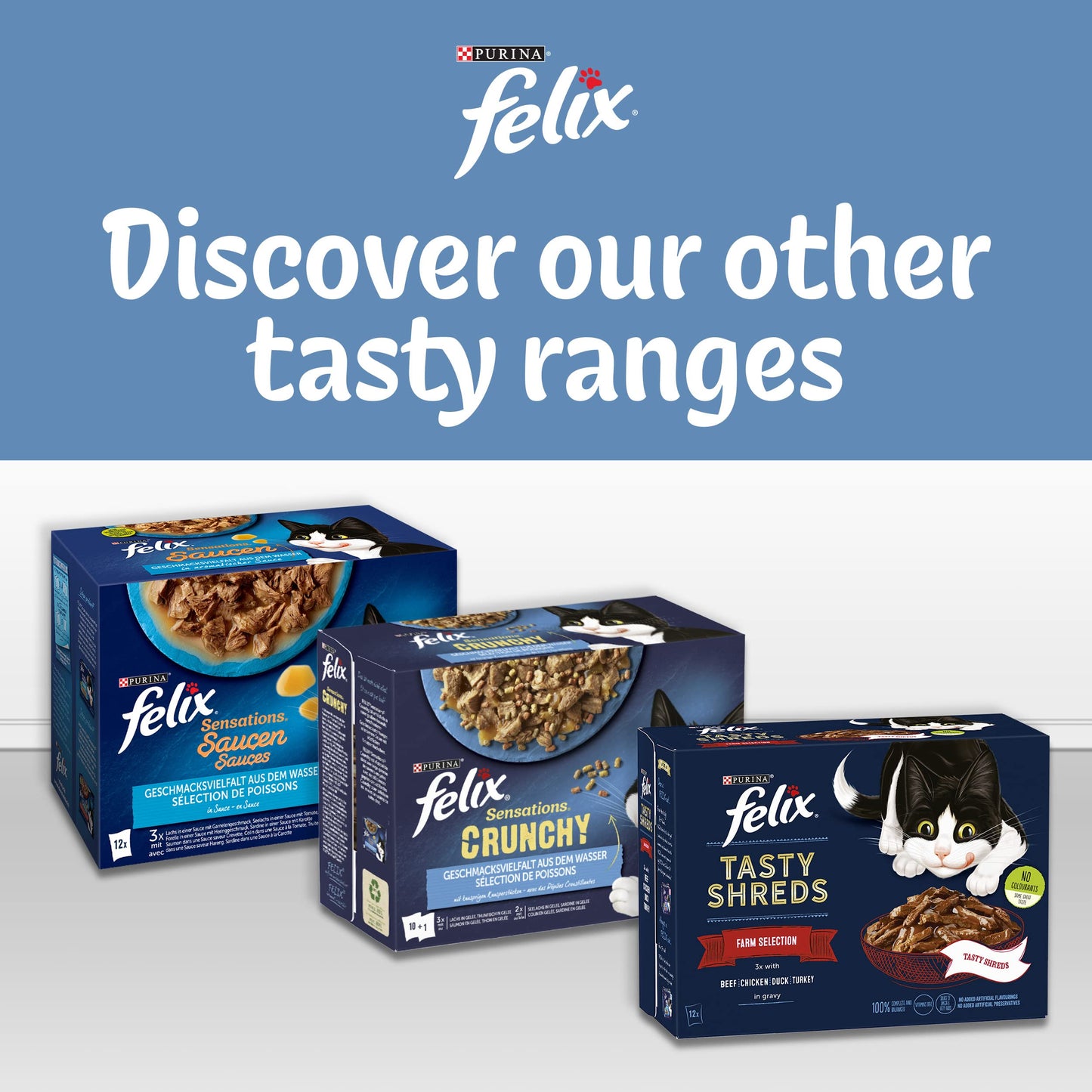 Fish Favourites in Jelly Wet Cat Food