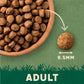 Harringtons Complete Dry Adult Dog Food