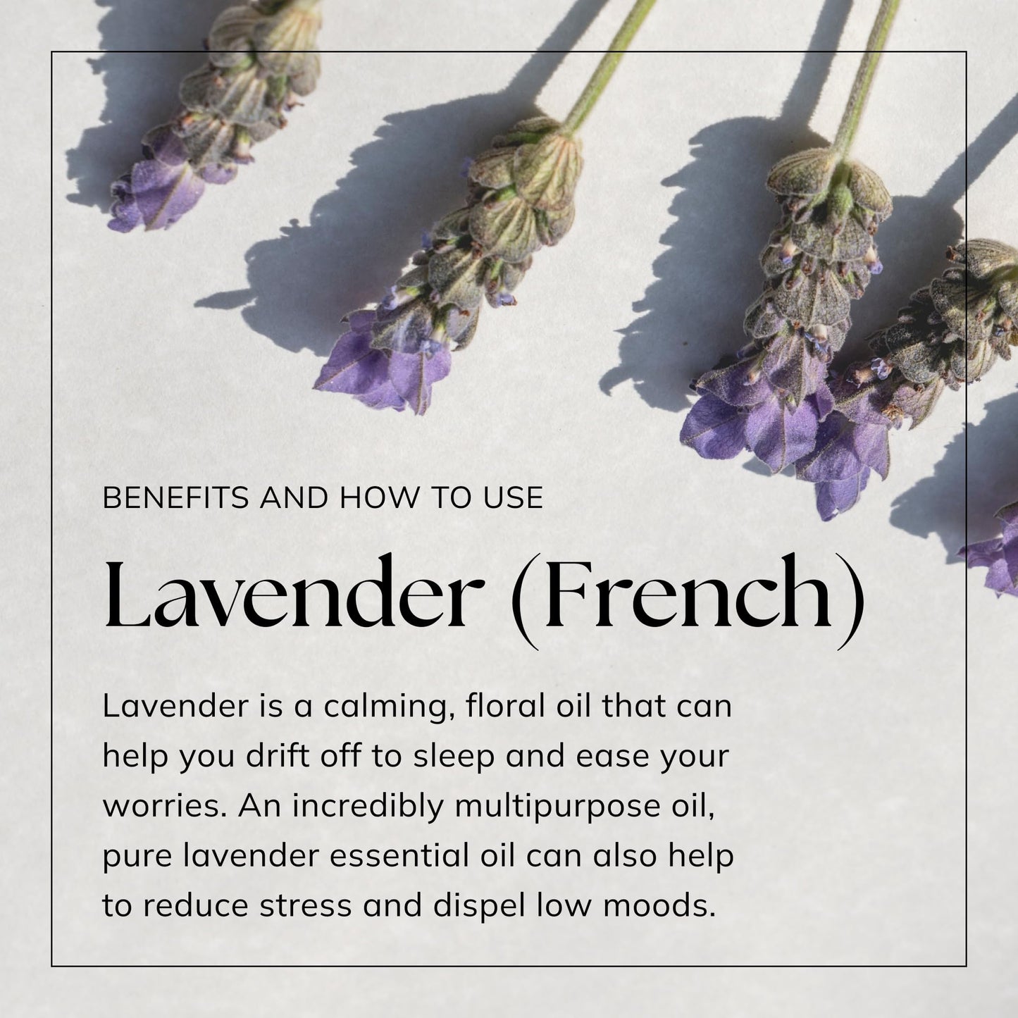 Nikura French Lavender Essential Oil